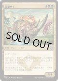 [EX+](FOIL)遊撃サイ/Skirmish Rhino《日本語》【TDM】