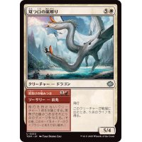 双つ口の嵐孵り/Twinmaw Stormbrood《日本語》【TDM】