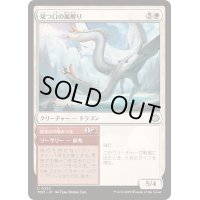 [EX+]双つ口の嵐孵り/Twinmaw Stormbrood《日本語》【TDM】