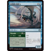 竜巻翼の嵐孵り/Whirlwing Stormbrood《日本語》【TDM】
