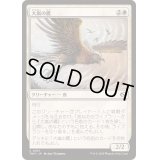 (FOIL)大嵐の鷹/Tempest Hawk《日本語》【TDM】