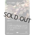 [EX+](フルアート)アブザンの夜明け、フェロザー/Felothar, Dawn of the Abzan《日本語》【TDM】