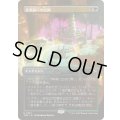 (FOIL)(フルアート)漆黒洞穴の包囲/Hollowmurk Siege《日本語》【TDM】