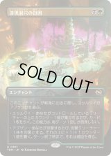 (FOIL)(フルアート)漆黒洞穴の包囲/Hollowmurk Siege《日本語》【TDM】
