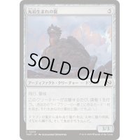 [EX+]丸岩生まれの龍/Boulderborn Dragon《日本語》【TDM】