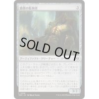 [EX+]路傍の監視者/Watcher of the Wayside《日本語》【TDM】
