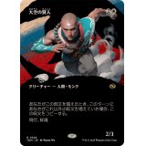 (FOIL)(フルアート)大空の賢人/Sage of the Skies《日本語》【TDM】