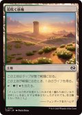 (FOIL)花咲く砂地/Blossoming Sands《日本語》【TDM】