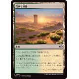 (FOIL)花咲く砂地/Blossoming Sands《日本語》【TDM】