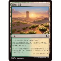 (FOIL)花咲く砂地/Blossoming Sands《日本語》【TDM】