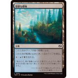 (FOIL)陰鬱な僻地/Dismal Backwater《日本語》【TDM】