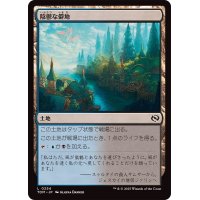 (FOIL)陰鬱な僻地/Dismal Backwater《日本語》【TDM】