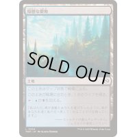 [EX+]陰鬱な僻地/Dismal Backwater《日本語》【TDM】