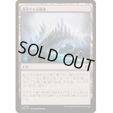 [EX+](FOIL)進化する未開地/Evolving Wilds《日本語》【TDM】