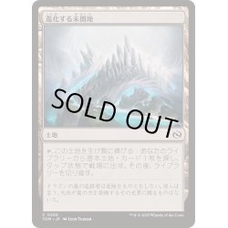 画像1: (FOIL)進化する未開地/Evolving Wilds《日本語》【TDM】