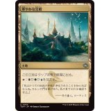 (FOIL)華やかな宮殿/Opulent Palace《日本語》【TDM】