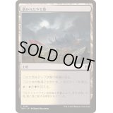 [EX+](FOIL)磨かれたやせ地/Scoured Barrens《日本語》【TDM】