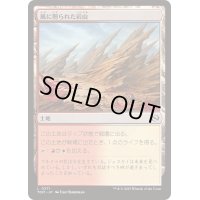 [EX+]風に削られた岩山/Wind-Scarred Crag《日本語》【TDM】