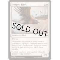 [EX+]大嵐の鷹/Tempest Hawk《英語》【TDM】