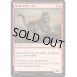 (FOIL)玉虫色の虎/Iridescent Tiger《英語》【TDM】