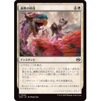 連携の妙技/Coordinated Maneuver《日本語》【TDM】