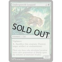 [EX+]下生えの豹/Undergrowth Leopard《英語》【TDM】
