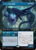 (フルアート)マラング川の執政/Marang River Regent《日本語》【TDM】