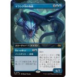 (フルアート)マラング川の執政/Marang River Regent《日本語》【TDM】