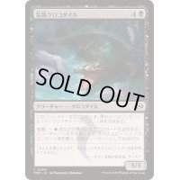(FOIL)装飾クロコダイル/Adorned Crocodile《日本語》【TDM】