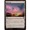 (サージFOIL)灰のやせ地/Ash Barrens《日本語》【TMC】