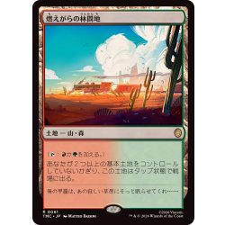 画像1: 燃えがらの林間地/Cinder Glade《日本語》【TMC】