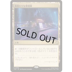 画像1: [EX+]風変わりな果樹園/Exotic Orchard《日本語》【TMC】