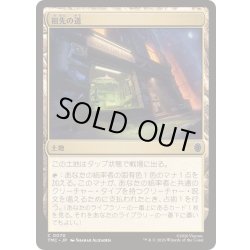 画像1: [EX+]祖先の道/Path of Ancestry《日本語》【TMC】