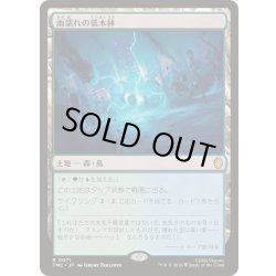 画像1: (サージFOIL)雨濡れの低木林/Rain-Slicked Copse《日本語》【TMC】