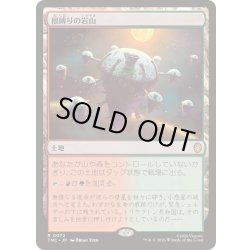 画像1: [EX+](サージFOIL)根縛りの岩山/Rootbound Crag《日本語》【TMC】