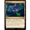 (サージFOIL)興隆する木立/Thriving Grove《日本語》【TMC】