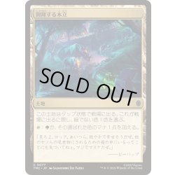 画像1: [EX+](サージFOIL)興隆する木立/Thriving Grove《日本語》【TMC】