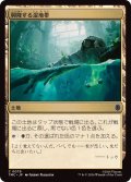 (サージFOIL)興隆する湿地帯/Thriving Moor《日本語》【TMC】