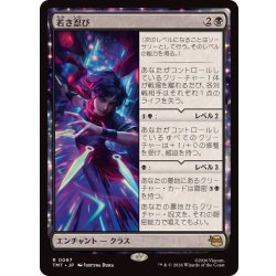 画像1: 若き忍び/Ninja Teen《日本語》【TMT】