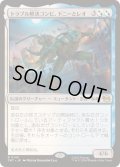 (FOIL)トラブル解決コンビ、ドニーとレオ/Don & Leo, Problem Solvers《日本語》【TMT】