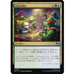 画像1: 人生の学び/Lessons from Life《日本語》【TMT】