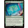 [EX+](サージFOIL)ハイスコア/High Score《英語》【TMC】