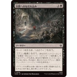画像1: 谷間へのなだれ込み/Rage into the Valley《日本語》【HOB】