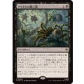 (FOIL)クモたちの晩ご飯/Supper for Spiders《日本語》【HOB】