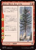 (FOIL)燃えろ、燃えろ、木よ、シダよ/Burn, Burn, Tree and Fern《日本語》【HOB】