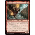 (FOIL)勇敢なる者、オーイン/Oin the Brave《日本語》【HOB】