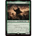 (FOIL)獰猛なるビヨルン/Beorn the Fierce《日本語》【HOB】
