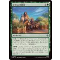 (FOIL)ビヨルンの歓待/Beorn's Hospitality《日本語》【HOB】