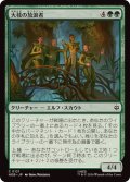 (FOIL)大枝の放浪者/Boughside Wanderers《日本語》【HOB】