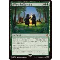 (FOIL)夜半から明け方まで踊る/Dancing from Dark to Dawn《日本語》【HOB】